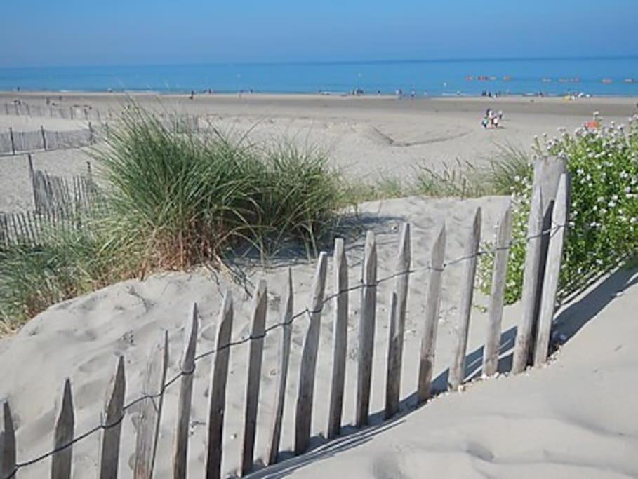 Logement A Deux Pas De La Plage Et Des Commerces เลอเทรปอร์ ภายนอก รูปภาพ